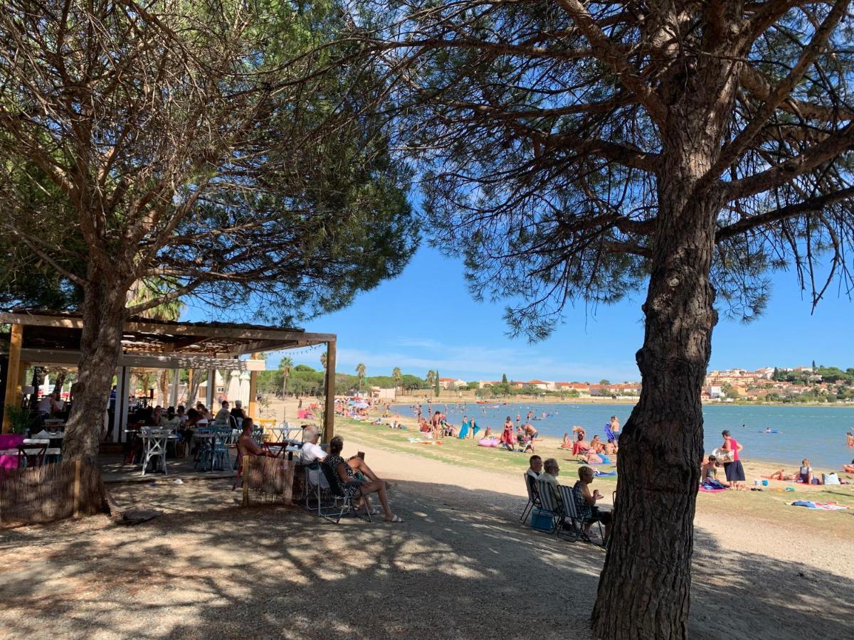 Charmant Logement Avec Piscine Saint-Feliu-d'Avall Eksteriør bilde